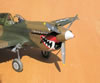 Hasegawa 1/32 P-40K Warhawk by Tolga Ulgur: Image