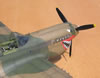 Hasegawa 1/32 P-40K Warhawk by Tolga Ulgur: Image