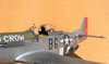 Tamiya 1/32 P-51D Mustang "Old Crow" by Tolga Ulgur: Image