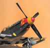 Tamiya 1/32 P-51D Mustang "Old Crow" by Tolga Ulgur: Image