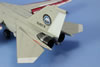 Hasegwa 1/72 F-111B Conversion by Bill Gilman: Image