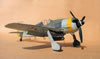 Hasegawa 1/32 Fw 190 F-8 by Tolga Ulgur: Image