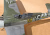 Hasegawa 1/32 Fw 190 F-8 by Tolga Ulgur: Image