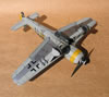 Hasegawa 1/32 Fw 190 F-8 by Tolga Ulgur: Image