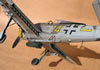 Hasegawa 1/32 Fw 190 F-8 by Tolga Ulgur: Image