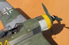 Hasegawa 1/32 Fw 190 F-8 by Tolga Ulgur: Image