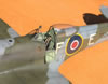 Tamiya 1/32 Spitfire Mk.XVIe by Tolga Ulgur: Image