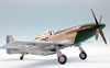 Airfix 1/24 P-51D Mustang by Roland Sachsenhofer: Image