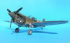 Hasegawa 1/32 P-40E Warhawk by Tolga Ulgur: Image