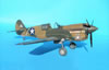 Hasegawa 1/32 P-40E Warhawk by Tolga Ulgur: Image