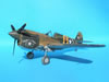 Hasegawa 1/32 P-40E Warhawk by Tolga Ulgur: Image