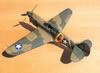 Hasegawa 1/32 P-40E Warhawk by Tolga Ulgur: Image