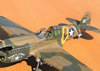 Hasegawa 1/32 P-40E Warhawk by Tolga Ulgur: Image