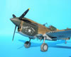 Hasegawa 1/32 P-40E Warhawk by Tolga Ulgur: Image