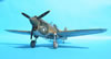 Hasegawa 1/32 P-40E Warhawk by Tolga Ulgur: Image