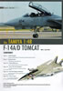 How To BuildTamiyas F-14A/D Tomcat by Spencer Pollard: Image