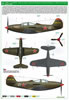 Eduard 1/48 Bella P-39s in Russian Service Limited Edition Kit Review by David Couche: Image