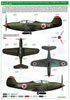 Eduard 1/48 Bella P-39s in Russian Service Limited Edition Kit Review by David Couche: Image