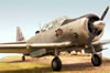 Italeri 1/48 T-6G Texan by Roland Sachsenhofer: Image