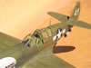 Hasegawa 1/32 P-40N Warhawk by Brett Green: Image