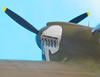 Hasegawa 1/32 P-40N Warhawk by Brett Green: Image