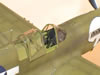 Hasegawa 1/32 P-40N Warhawk by Brett Green: Image