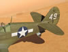 Hasegawa 1/32 P-40N Warhawk by Brett Green: Image