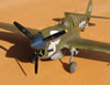 Hasegawa 1/32 P-40N Warhawk by Brett Green: Image