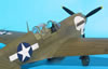 Hasegawa 1/32 P-40N Warhawk by Brett Green: Image