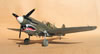 Hasegawa 1/32 P-40N Warhawk by Tolga Ulgur: Image