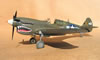 Hasegawa 1/32 P-40N Warhawk by Tolga Ulgur: Image