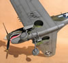 Hasegawa 1/32 P-40N Warhawk by Tolga Ulgur: Image