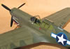 Hasegawa 1/32 P-40N Warhawk by Tolga Ulgur: Image