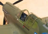 Hasegawa 1/32 P-40N Warhawk by Tolga Ulgur: Image