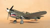 Hasegawa 1/32 P-40N Warhawk by Tolga Ulgur: Image