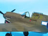 Hasegawa 1/32 P-40N Warhawk by Tolga Ulgur: Image