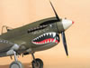 Hasegawa 1/32 P-40N Warhawk by Tolga Ulgur: Image