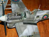 Hasegawa 1/48 Hawker Typhoon by Valter Vaudagna: Image