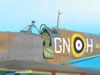 Hobby Boss 1/32 Hobby Boss Spitfire Mk.Vb by Tolga Ulgur: Image