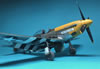 Eduard 1/48 P-51D-5 Mustang by Dario Giuliano: Image