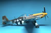 Eduard 1/48 P-51D-5 Mustang by Dario Giuliano: Image