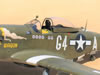 Tamiya 1/32 P-51D Mustang by Tolga Ulgur: Image