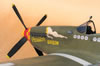 Tamiya 1/32 P-51D Mustang by Tolga Ulgur: Image