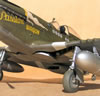 Tamiya 1/32 P-51D Mustang by Tolga Ulgur: Image