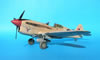 Trumpeter 1/32 P-40F Warhawk by Tolga Ulgur: Image