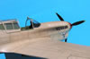 Trumpeter 1/32 P-40F Warhawk by Tolga Ulgur: Image