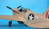 Trumpeter 1/32 P-40F Warhawk by Tolga Ulgur: Image