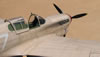 Trumpeter 1/32 P-40F Warhawk by Tolga Ulgur: Image