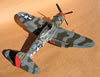 Hasegawa 1/32 P-47D Gabreski by Tolga Ulgur: Image