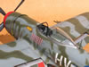 Hasegawa 1/32 P-47D Gabreski by Tolga Ulgur: Image